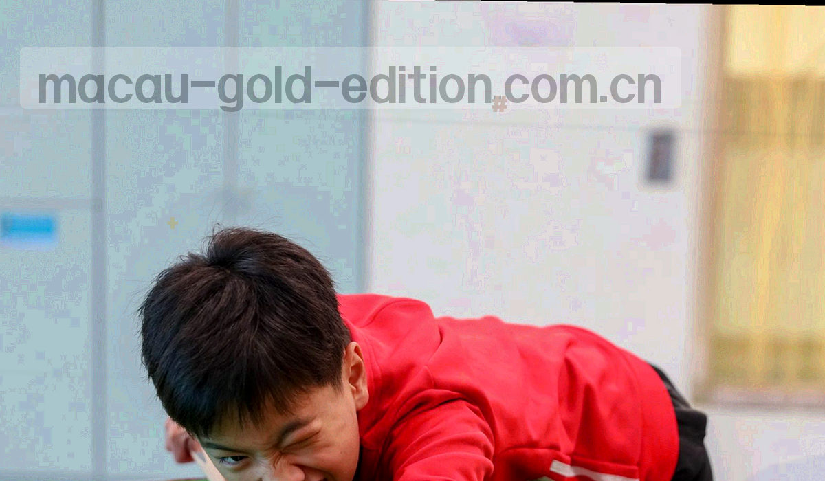 手机与平板屏幕方向的极简线框示意，叠加金色适配标记